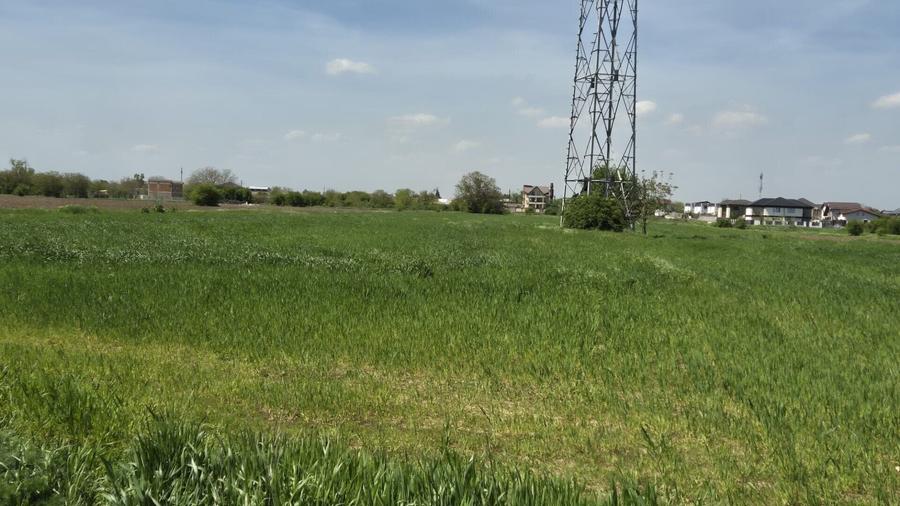 Teren agricol extravilan de 9983 mp, în Berceni