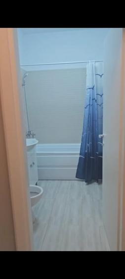 Apartament cu 2 camere decomandat, mobilat în Sălăjan