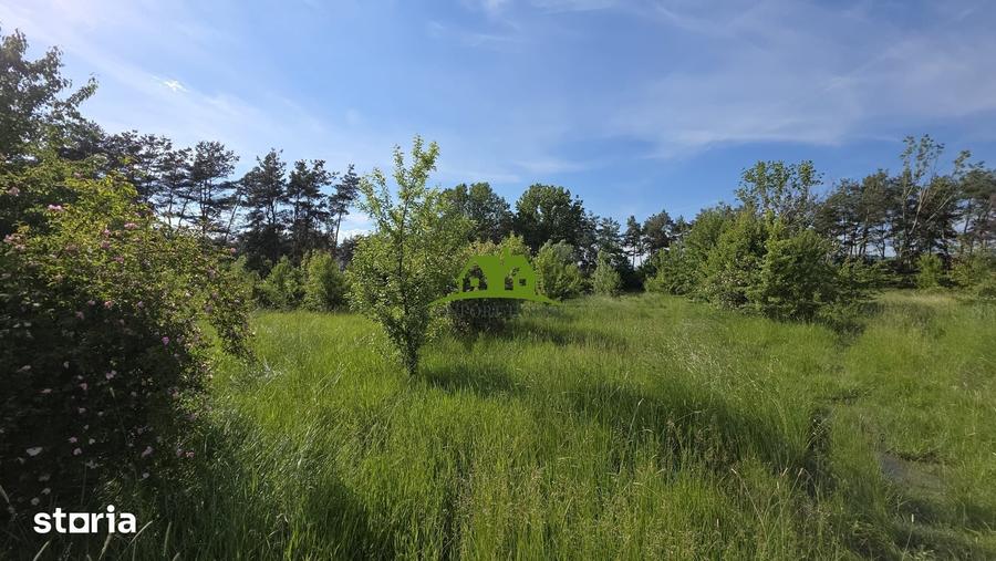 Teren de 1380 mp, în Goranu