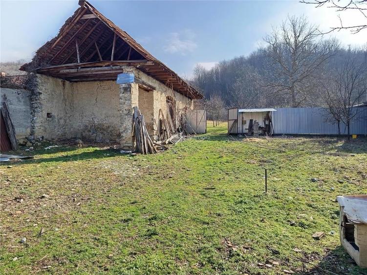 Teren de 1800 mp, în Ciclova Română