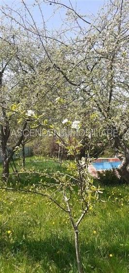 Casa cu gradina, piscina si alte facilitati, Tarlungeni, Brasov