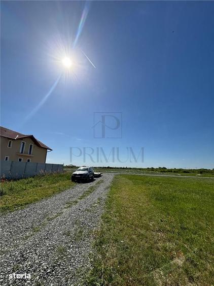 2 Terenuri- MOSNITA VECHE- 675 mp - 2
