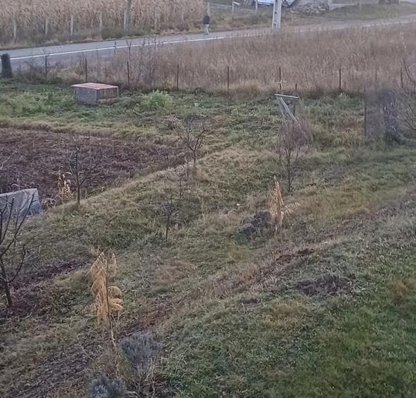 Teren de 1000 mp, în Ciurila