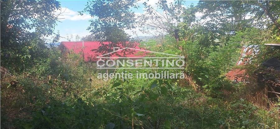Casă cu Teren 3167 Mp în Măgura