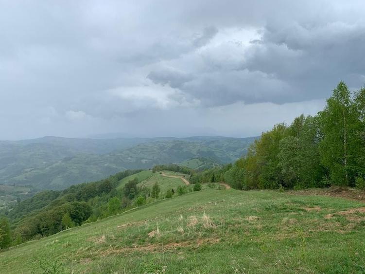 Teren Construcții extravilan de 20340 mp, în Poiana Mărului