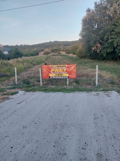 Spațiu comercial, în Curtișoara