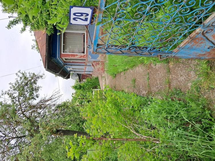 Casă cu 3 camere cu Teren 3000 Mp în Central