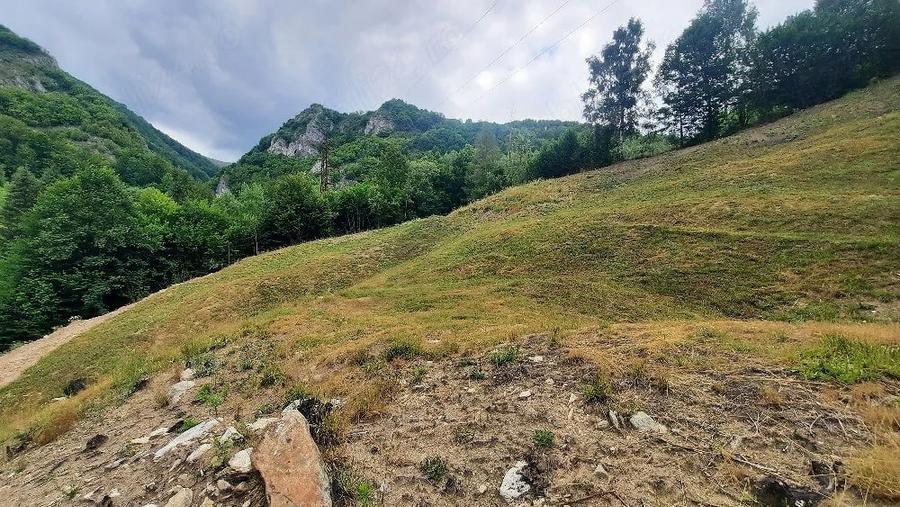 Teren de 3768 mp, în Uric