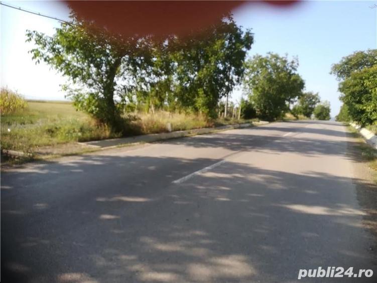 Teren de 5000 mp, în Cristești
