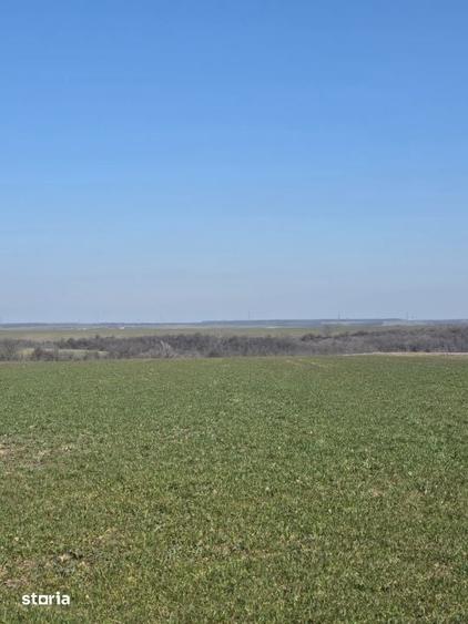 Teren de 3800 mp, în Mischii