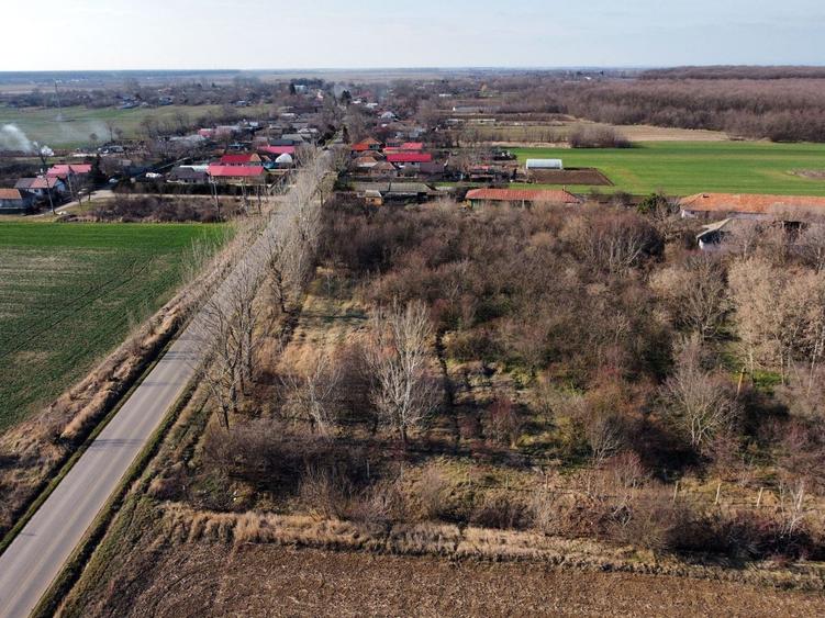 Teren Construcții intravilan de 70291 mp, în Micșunești-Moară