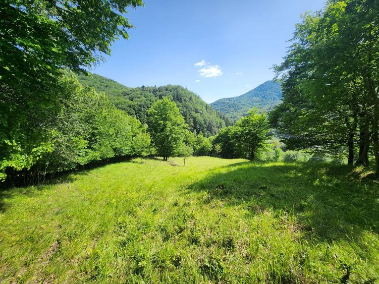 Teren Construcții intravilan de 4800 mp, în Gura Siriului