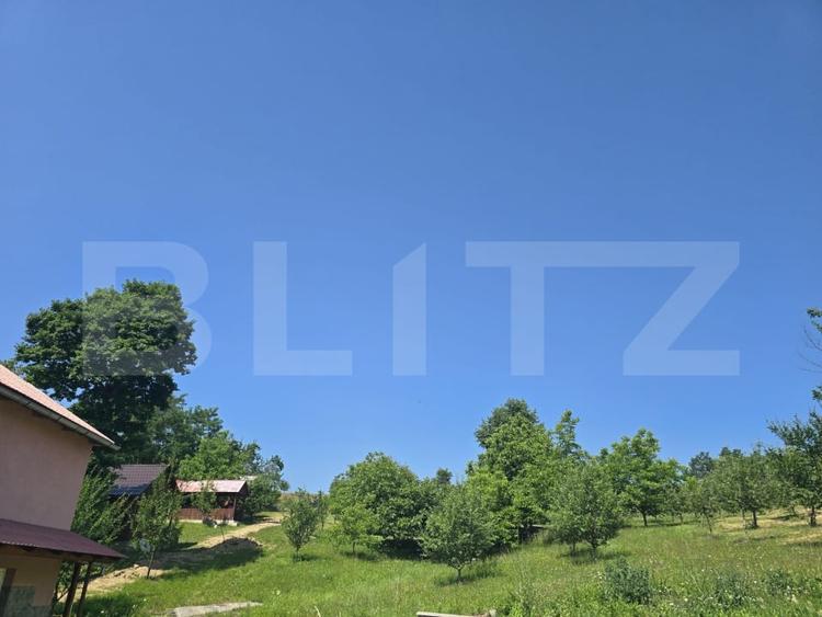 Teren agricol extravilan de 16000 mp, în Hodac