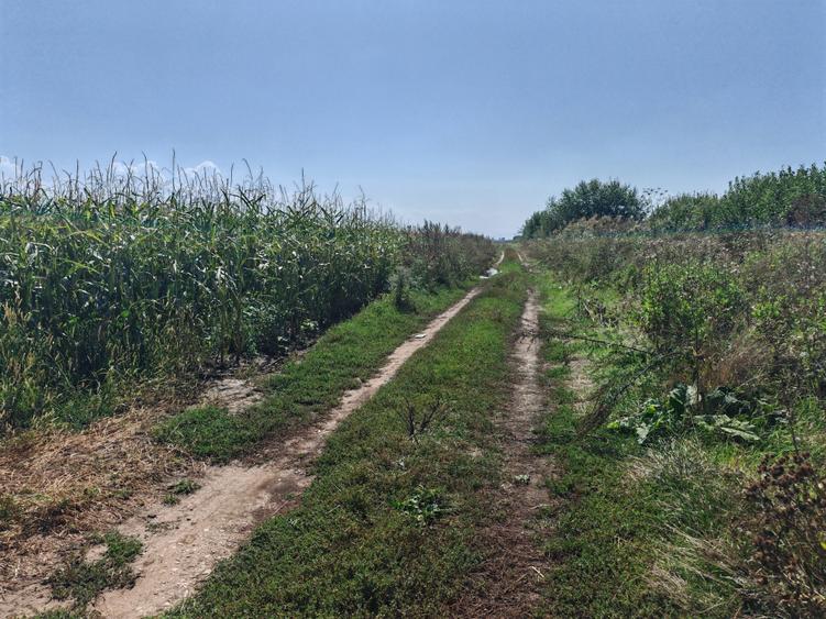Teren agricol sau zona agrement HALCHIU - langa Lacuri si Balastiera - 2