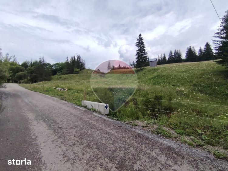Teren de 33364 mp, în Dorna Candrenilor