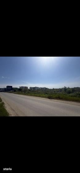 Teren de 85000 mp, în Sud
