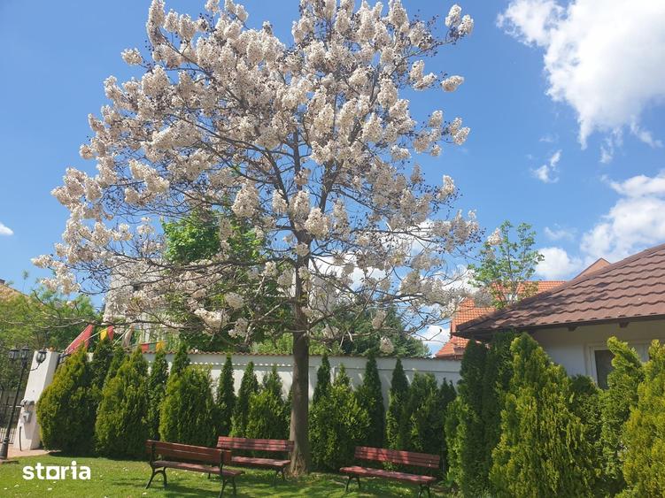 Casă cu Teren 3000 Mp în Central