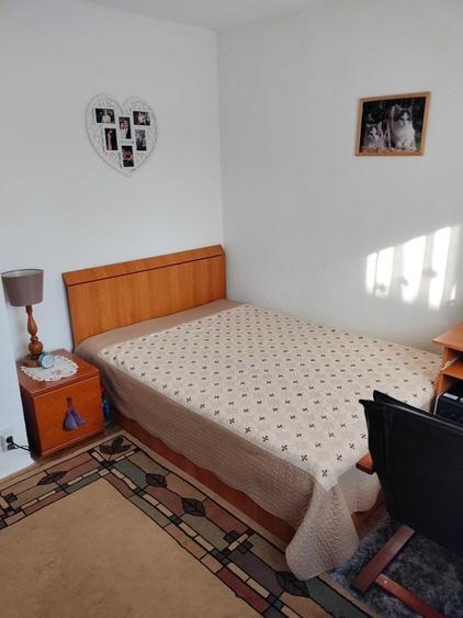 Apartament 3 camere, B-dul M. Eminescu, nr. 8, Carrefour - 2