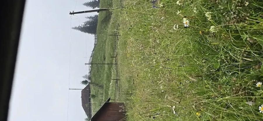 Teren de 5285 mp, în Poiana Stampei