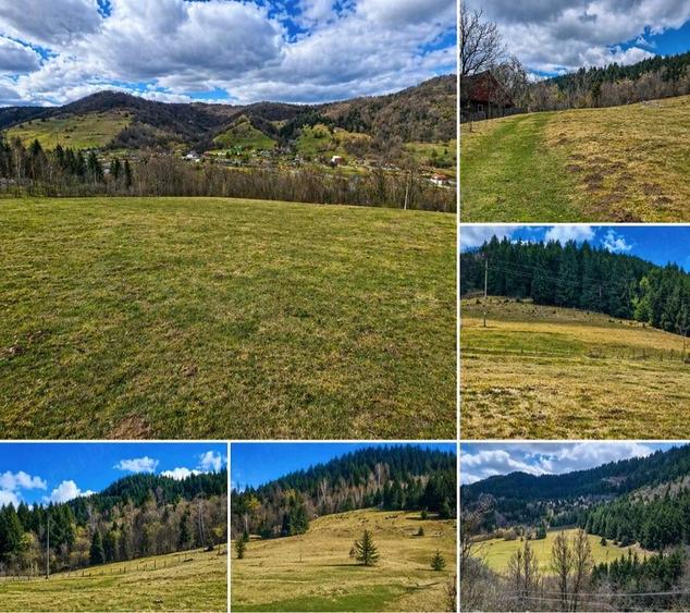 Teren de 6250 mp, în Vidra