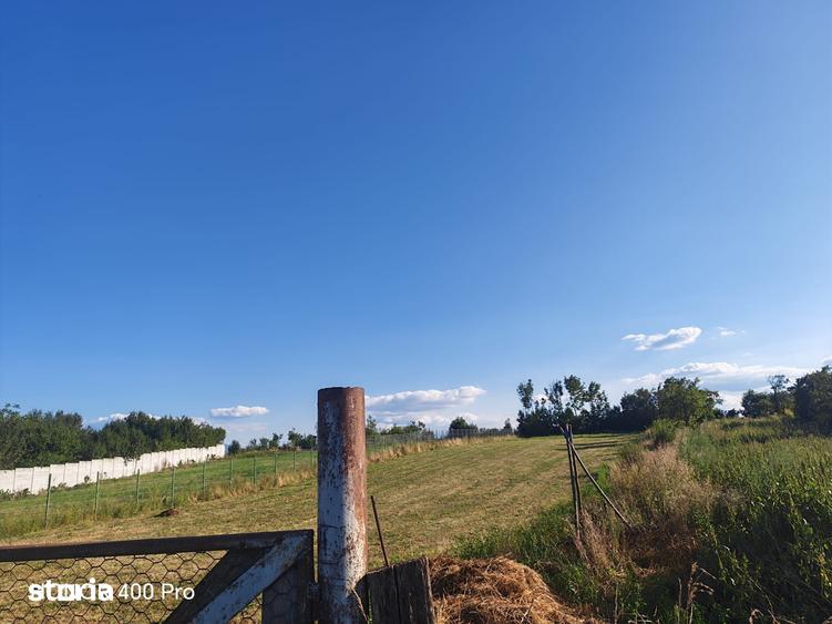 Teren de 2805 mp, în Crizbav