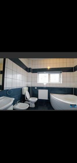 Spațiu comercial, de 220 mp, în Vitan