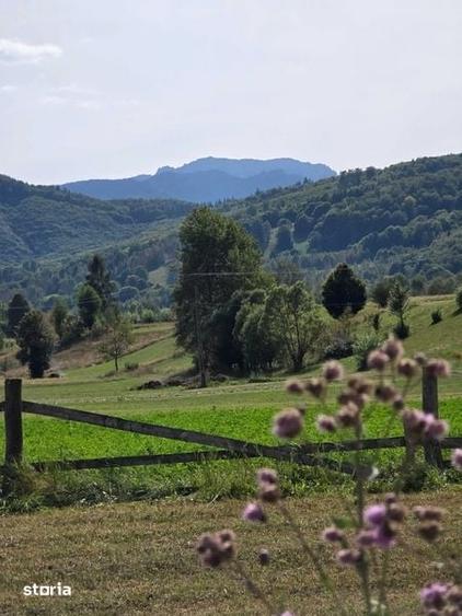 Teren de 1500 mp, în Vama Buzăului