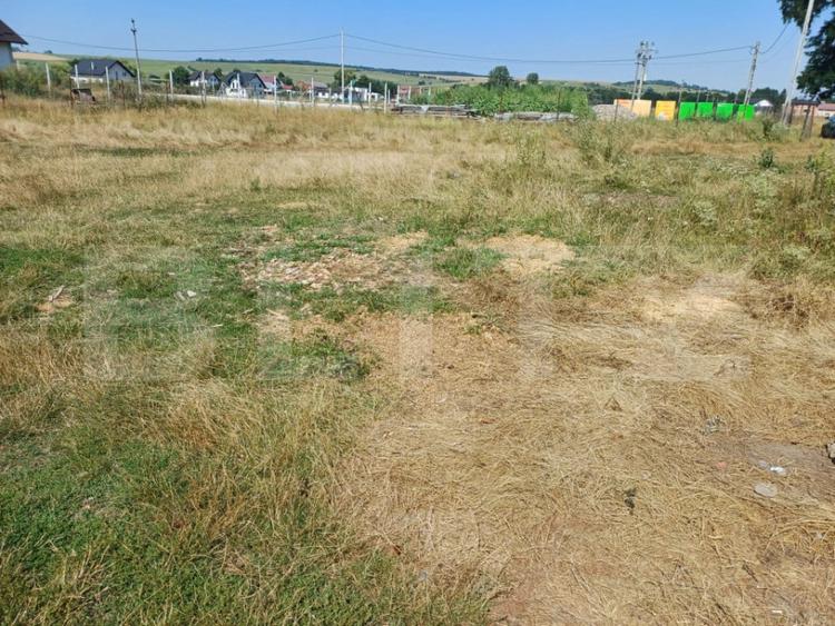 Teren de vanzare intravilan, 8 ari, Costana - 2