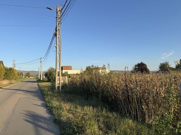Spațiu comercial, în Cetate