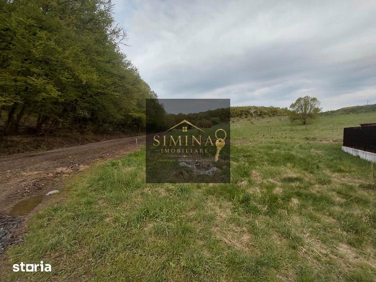 Teren de 800 mp, în Păsăreni