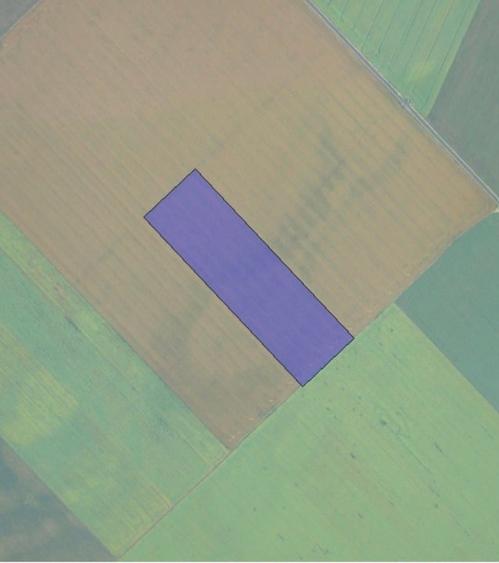 Teren agricol extravilan de 50000 mp, în Ileana