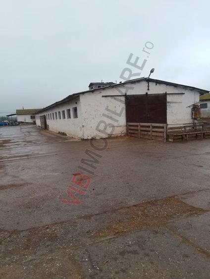Proprietate specială, de 20,000 mp, în Lumina