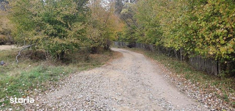 Teren de 50000 mp, în Calvini