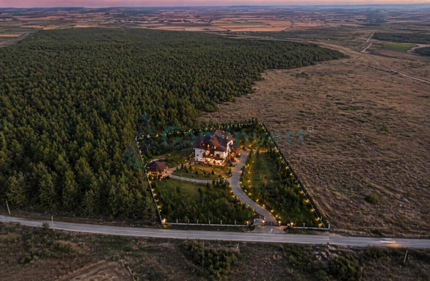 Teren Construcții intravilan de 35693 mp, în Gepiu