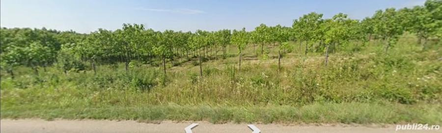 Teren de 22000 mp, în Seciu