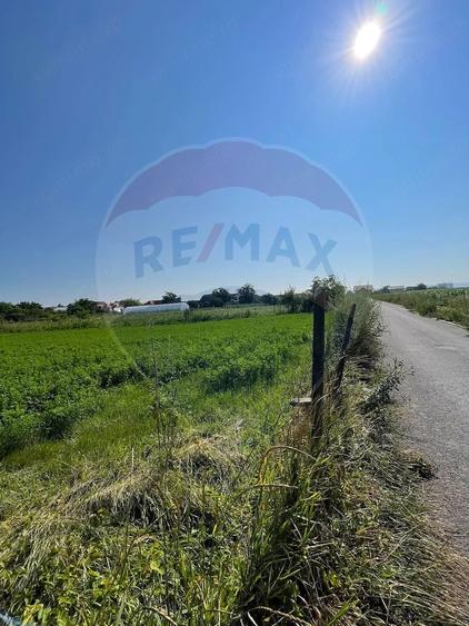 Teren de 1270 mp, în Central
