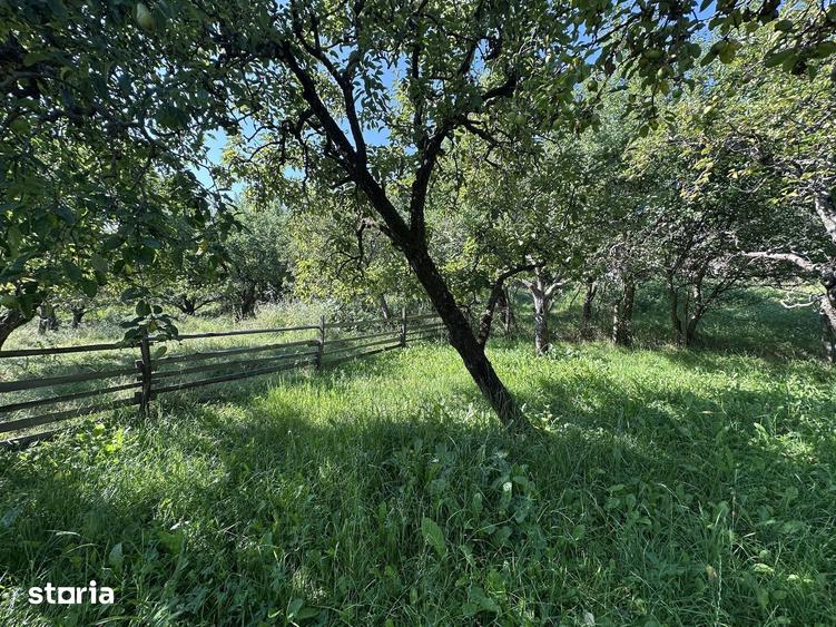 De vanzare: casa in inima unei superbe zone de deal, Valeni-Dambovita - 6