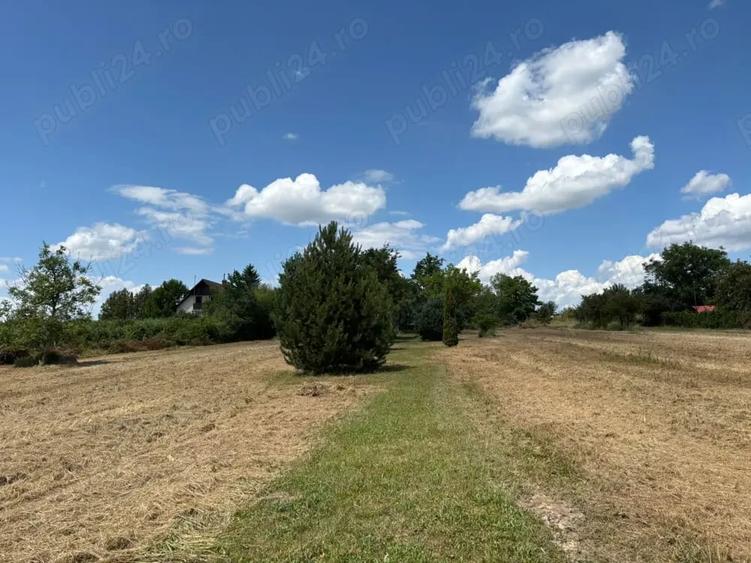 Casă cu 6 camere cu Teren 16351 Mp în Viile Satu Mare