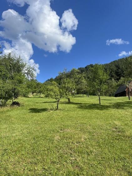 Teren de 5500 mp, în Râu Sadului
