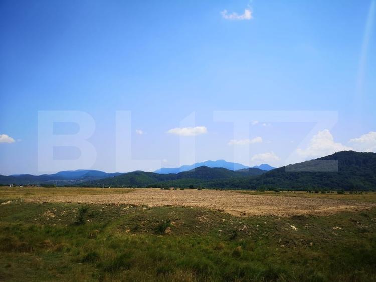 Teren agricol extravilan de 7000 mp, în Caragiale
