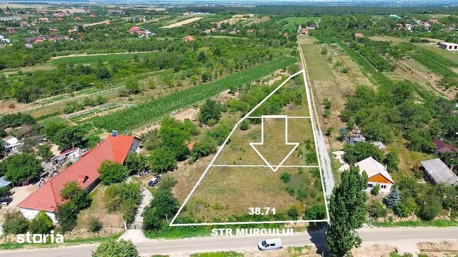 Teren de 3000 mp, în Dănești