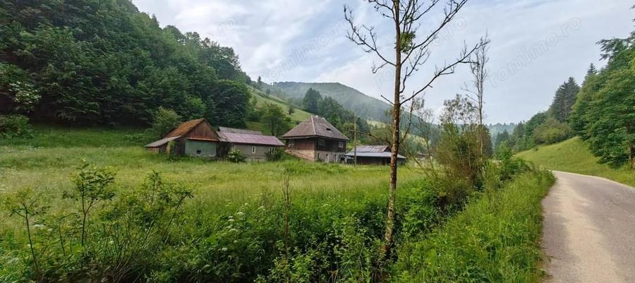 Casă cu 4 camere cu Teren 8700 Mp în Jojei