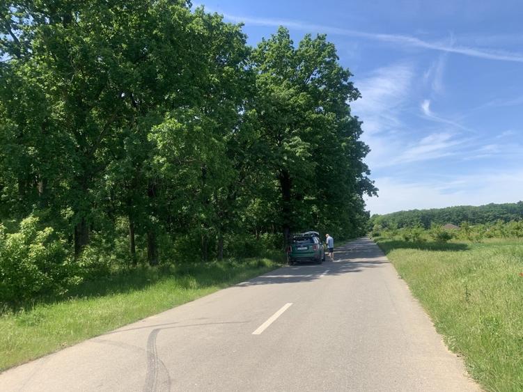 Teren intravilan de 10500 mp, în Cosoba
