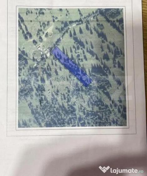 Teren de 5000 mp, în Central