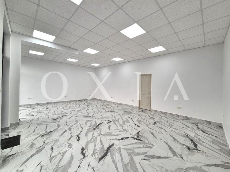 AX1198 Blascovici, Strada Maslinului, Spatiu Comercial, Comision 0% - 4