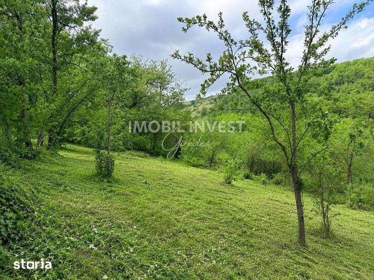 Casă cu 5 camere cu Teren 5280 Mp în Central