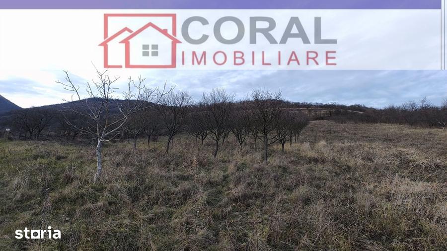 Teren de 3608 mp, în Decebal