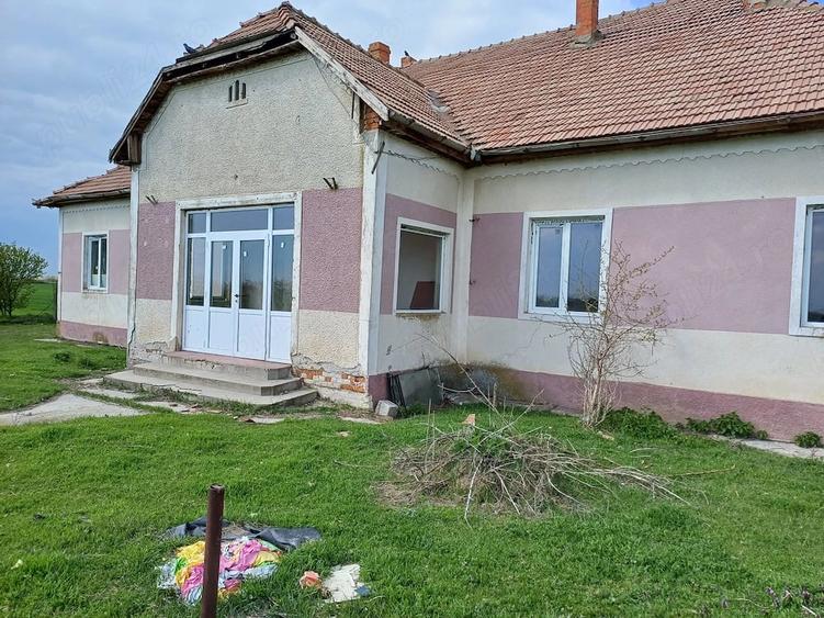 Casă cu Teren 1500 Mp în Pădureni