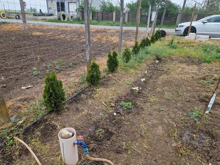 Teren de 1120 mp, în Drajna Nouă