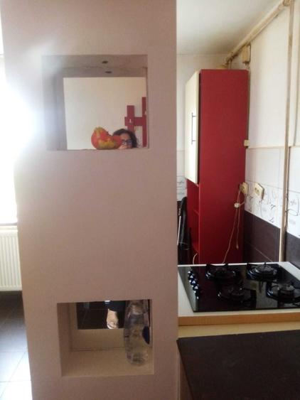 Apartament cu 2 camere semidecomandat în Șanovița